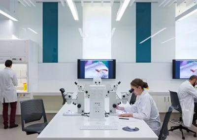 The University of Queensland