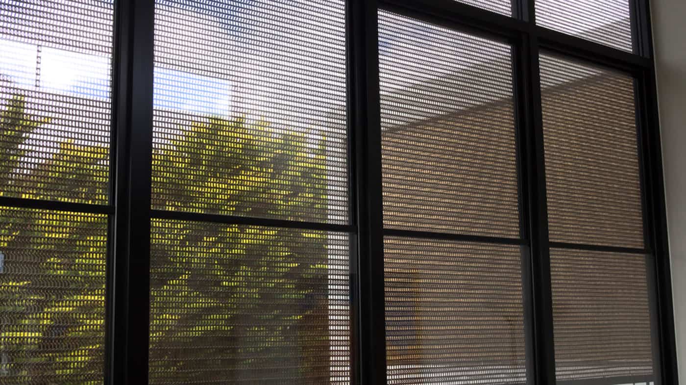 Image-4
