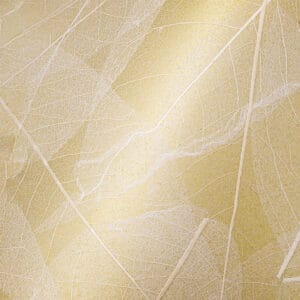 SKELETTBLÄTTER on Golden Paper (ORSKL0000010GTARW)