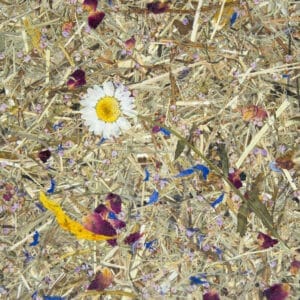 ALMWIESE Premium (ORWSPALM0075FVPRW)