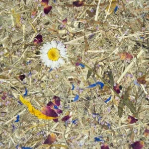 ALMWIESE Premium (ORWSPALM0075FVPRW)