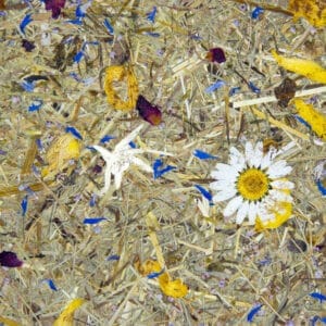 BERGWIESE Premium (ORWSPBRG0075FVPRW)