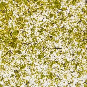 MOOS HELLGRÜN Medium (ORWSPBRG0045SKTRW)