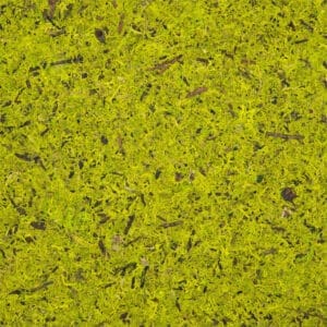 MOOS HELLGRÜN Premium (ORMOSHGR0045SKTRW)