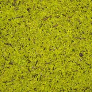 MOOS HELLGRÜN Premium (ORMOSHGR0045SKTRW)