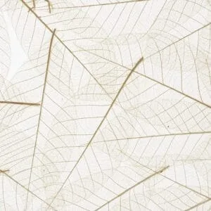 SKELETTBLÄTTER on Translucent Self-Adhesive (ORSKL0000010SKTRW)