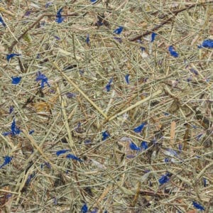 WILDSPITZE HIMMELBLAU Premium (ORWSPHIM0075FVPRW)