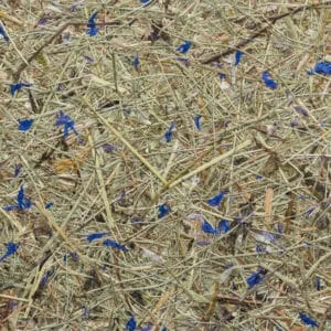 WILDSPITZE HIMMELBLAU Premium (ORWSPHIM0075FVPRW)