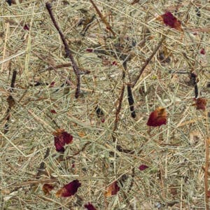 WILDSPITZE ROSENGARTEN Premium (ORWSPROG0075FVPRW)