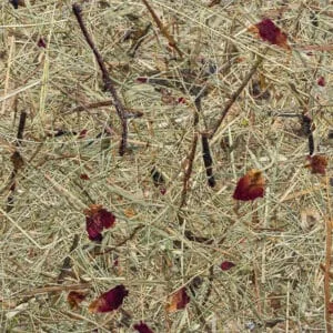 WILDSPITZE ROSENGARTEN Premium (ORWSPROG0075FVPRW)