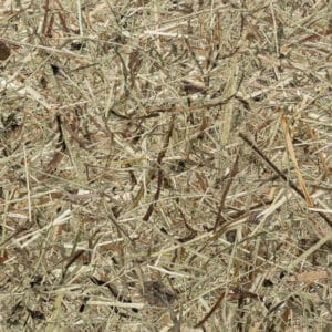 WILDSPITZE Premium (ORWSP0000075FVPRW)