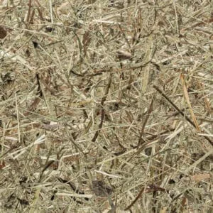 WILDSPITZE Premium (ORWSP0000075FVPRW)