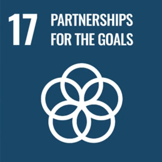17. partnerships