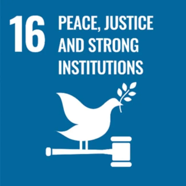 16. Peace, Justice & strong institutions