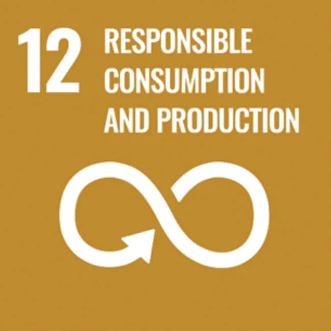 12. responsible Consumption & Production
