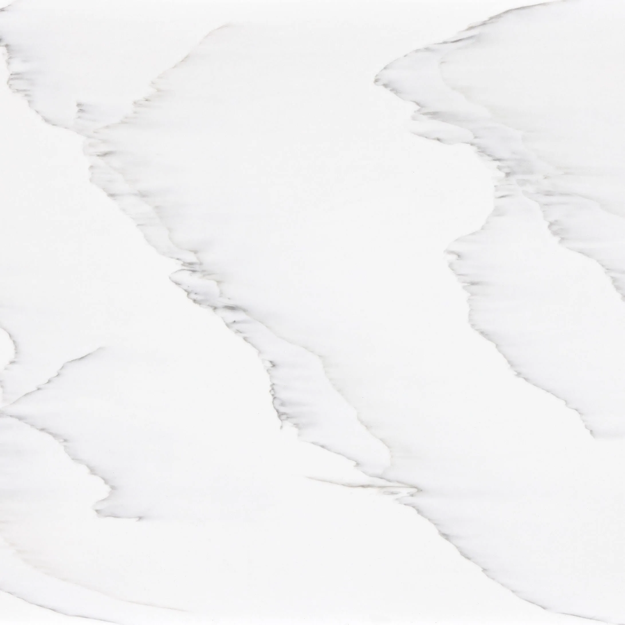 Premiere Largo (VL312)