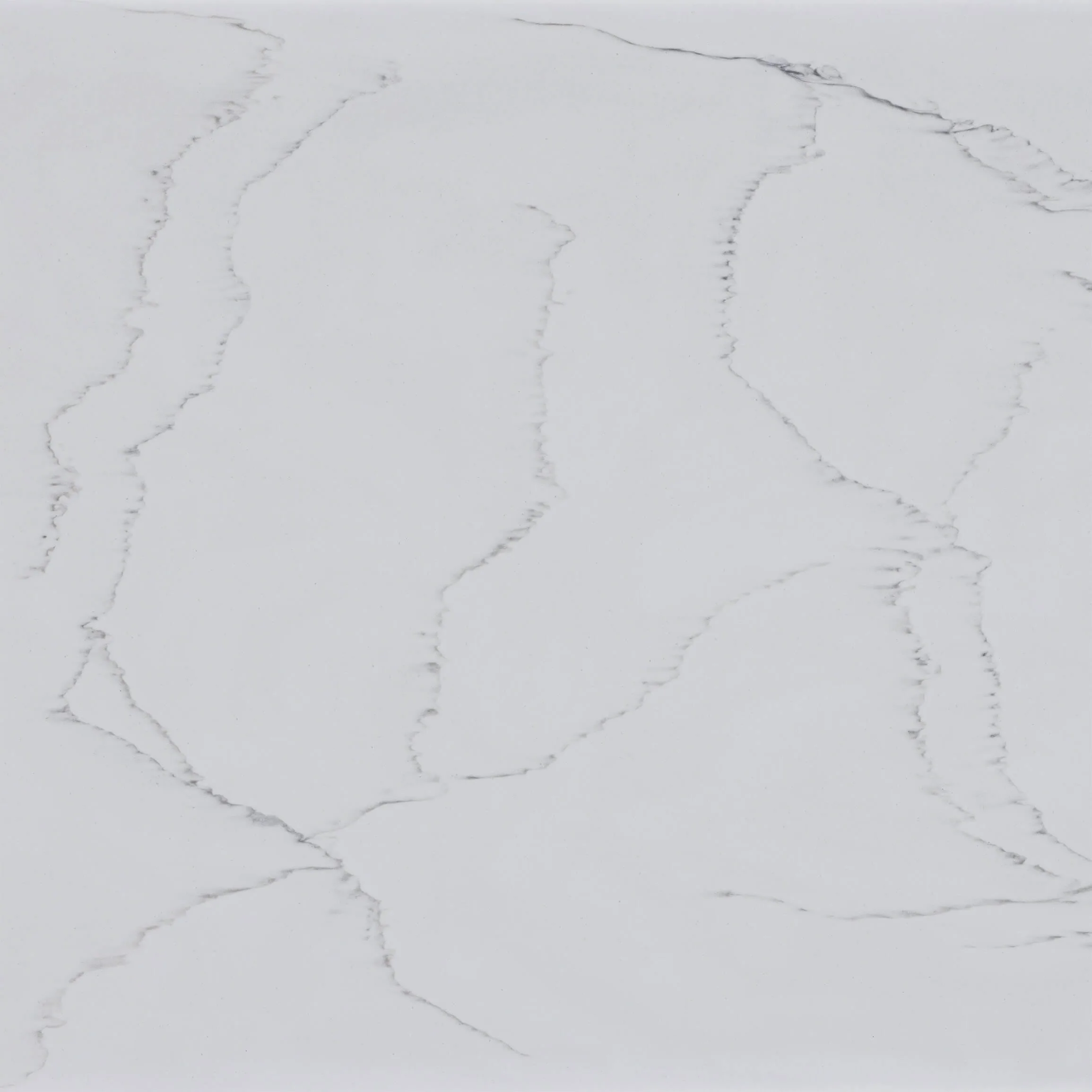 Premiere Legato (VL322)