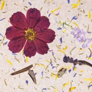 CARPE DIEM Light (ORCRPDIE2020FVPRW)