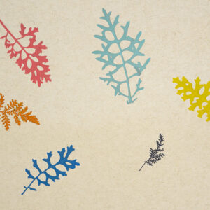 FARBKLECKS Light (ORFARBKL2020FVPRW)