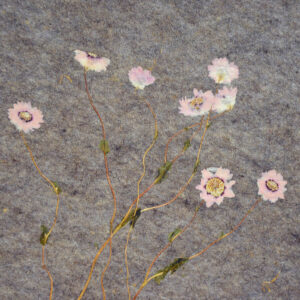 SONNENFLÜGEL Light (ORWOLRHO0085FVPRW)