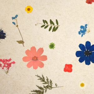 SUPERBLOOM Light (ORSUPERB0045FVPRW)