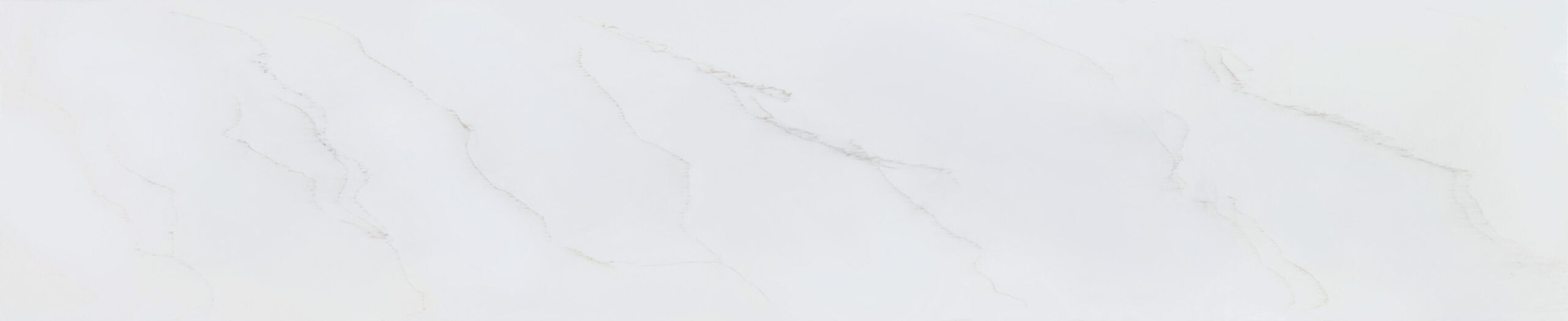 Premiere Forte_VF315_slab-web